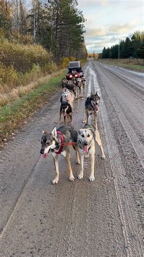 Who’s your favorite team mate? | Chasing The Wolves