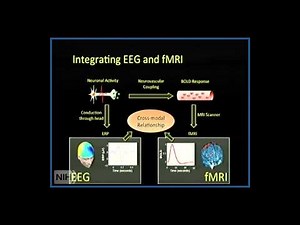 Multimodal Functional Neuroimaging: Part I