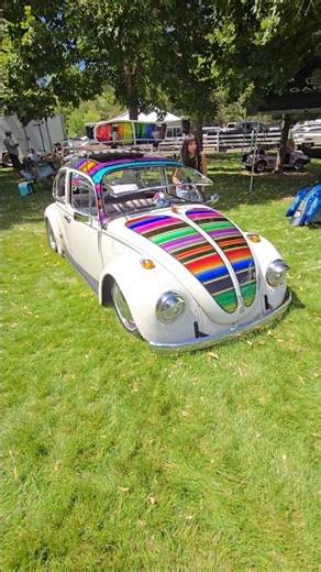 Insane Paint (300 hrs) work in this 1969 Volkswagen bug, see linked #vw video #gearheadreview