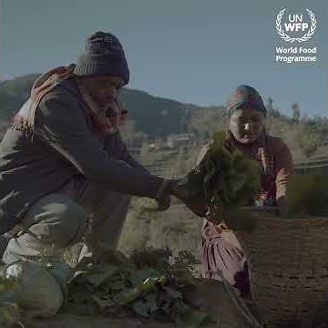 Scaling Climate Innovation: WFP Accelerator for Nepal, Pakistan & the Philippines
