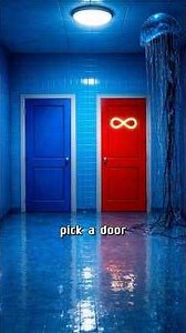 Which Door Did You Pick?