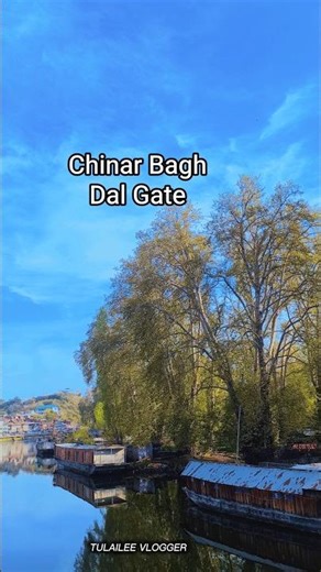 #song #music #youtube #love #youtubeshorts