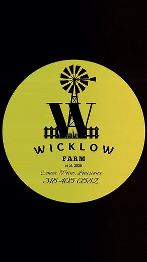 🎥✨ Let’s talk BRANDING! ✨🎥 Your logo is more than just an image — it’s the face of your business, the first thing people notice, and the lasting impression they remember. At D.D.C Designs, we specialize in creating established, professional, and eye-catching logo designs that help your brand stand out from the crowd. 🌟 Whether you’re just starting out or ready to elevate your existing brand, our custom logo designs are built to capture your story, your style, and your purpose. We’ll work with