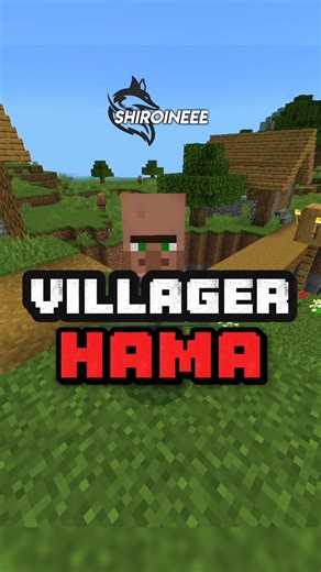 Villager Hama #minecraft