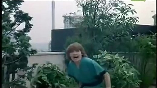 Le gitan (1975) Alain Delon, Paul Meurisse, Annie Girardot