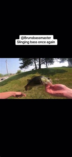 snagging carp, suprising catch, & lots of bass! watch the full video on my husbands channel! @BrunsBassSlappin https://youtu.be/yVZJwAeBGtM #bassfishing #bass #baitcaster #fishing #iowa #krazy #spinnerbait #wackyrig #berkleychoppo #topwater #spillway