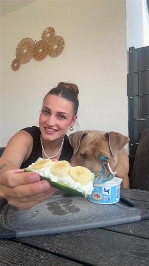 Gurke mit körnigem Frischkäse – Abkühlungs-Snack für Hunde