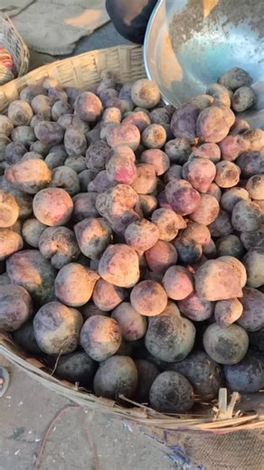 Vussha Rani on Instagram: "How to prepare beetroot powder"