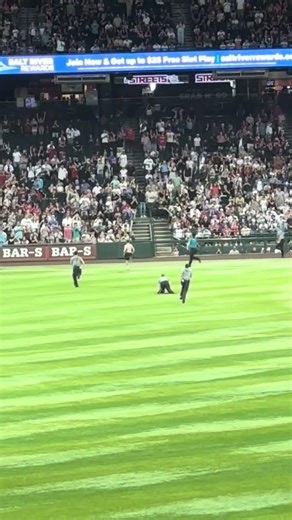 Diamondbacks field invader