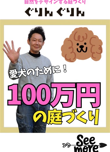 100万円の庭づくり🐶 虫だらけになった ウッドチップの庭をリノベーション 新しい