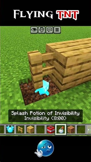 Flying TNT in Minecraft #minecraft #gaming