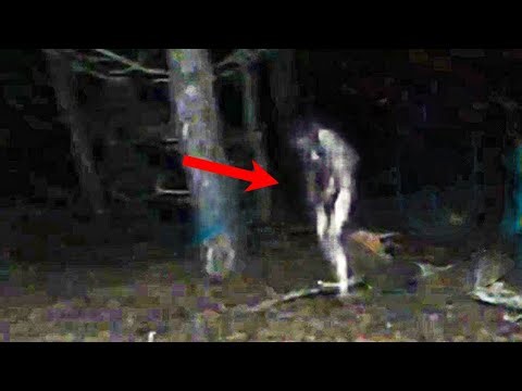 They Discovered Cryptids in New Jersey
