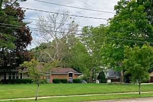 Sycamore anthracnose: Why your sycamore may be slow to leaf out this spring