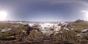 158K views · 475 reactions | Take a virtual scuba dive to a unique...