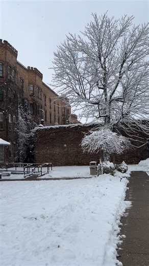 ❗️Our Buy More Save More Sale is live! 🏷️ $15 OFF $100-$199 🏷️ $30 OFF $200-$299 🏷️ $50 OFF orders $300 Plus, free shipping on orders over $99. (excludes AK & HI) Ends 12/12 at 8am ET. Shop now on fiestafactorydirect.com! (🔗 in bio) | Fiesta Dinnerware