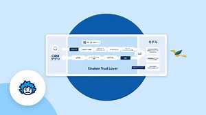 Einstein Trust Layer