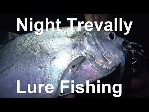 Night Trevally Lure fishing in the Gold Coast