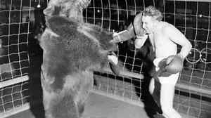 The Twisted and Terrible History of Men Fighting Bears