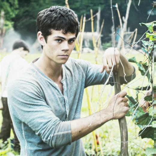 Exploring Thomas from The Maze Runner