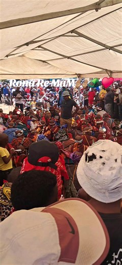 🐬💙MEGA MITTER💙🐬 (@pai.mitter)’s videos with original sound - 🐬💙MEGA MITTER💙🐬