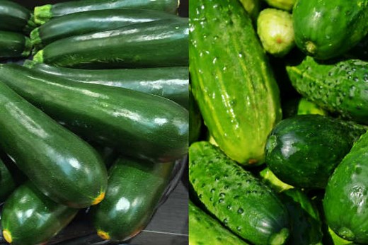 Zucchini Vs Cucumber – What's The Difference?