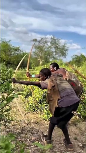 Cheetahs Moving Through the Jungle | Group Movement & Wildlife Observation | Nature Documentary
