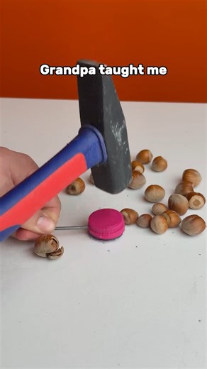 38K views · 38 reactions | How to Crack Hazelnuts Easily  | Simple DIY Trick! #DIYTricks #KitchenHack #LifeHacks #SmartIdeas #EasyHack #CreativeDIY #FoodTrick #HazelnutHack #SimpleDIY #SmartTip | Decoist | Facebook
