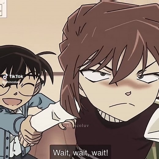 Detective Conan and Haibara Moments Compilation