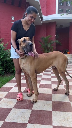 My dog 😍😍 | Girl Friends