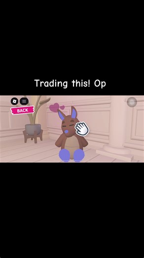 Mfr kangroo 101 value lf op