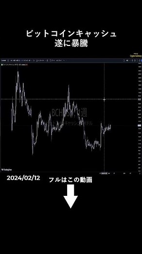 【ビットコインキャッシュ】遂に暴騰しました #bch #アルトコイン #仮想通貨
