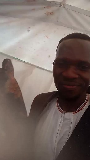 NGUMBA ZANGE (@ngumba.zange1)’s videos with original sound - 𝑩𝑾 𝑳𝒀𝑹𝑰𝑪𝑺