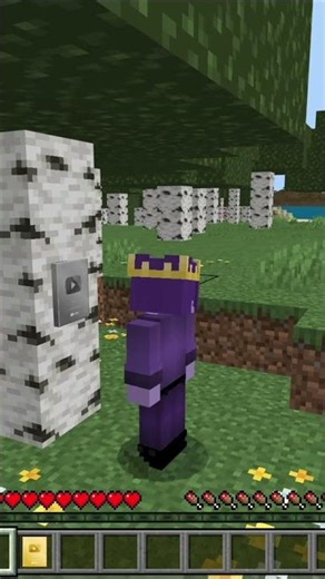 Minecraft pero hay PLACAS de YouTube🏆
