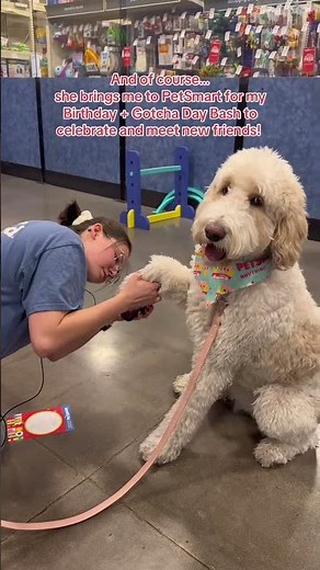 Our monthly Birthday + Gotcha Day Bash is the perfect way to celebrate your pet’s special day! 🎉