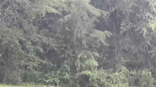 Intense rain and strong winds sweep through Gray, Kentucky