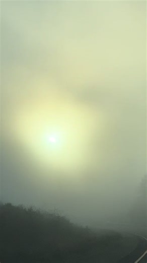 ✨🙌🏽#enlightenment #fyp