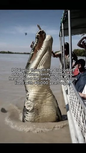 Old Earth Videos 🌍 | The „Old Earth“ concept refers to the belief that Earth is around 4.5 billion years old, a view supported by scientific evidence from... | Instagram