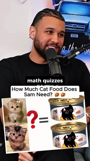 Understanding Cat Food Requirements for Your Pet
