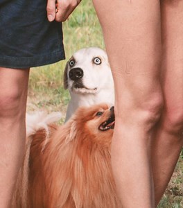 288K views · 93 reactions | À ce prix là, c'est sûr, votre nouveau portable va faire des envieux...  Xiaomi Redmi Note 7, sûrement le meilleur smartphone à moins de 200 euros https://www.mi.com/fr/redmi-note-7/ | Xiaomi France | Facebook