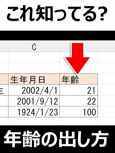 Excelで生年月日から年齢を瞬時に計算する方法