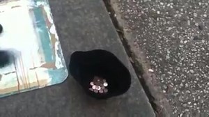 31K views · 682 reactions | Sheri's daughter Caramia took it upon herself to earn some extra money. Do your kids do crazy things like this? | Bob & Sheri | Facebook