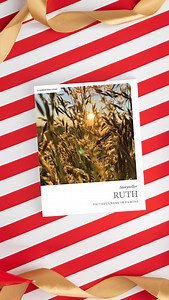 Give gifts filled with hope. Storyteller Bible studies help believers connect with God and the Bible in a way that’s simple, refreshing, and personal. | Lifeway