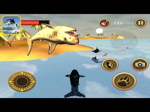 Orca Survival Simulator: Killer Whale Vs Sharks - IOS Gameplay |Newbie Gaming