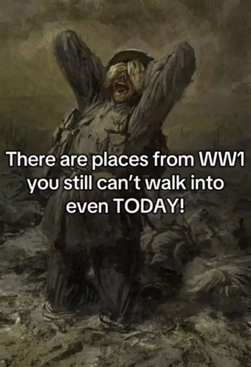 Some WW1 battlefields are still too dangerous to enter because of unexploded bombs, toxic gas, and underground tunnels hidden beneath the ground. Even over 100 years later, parts of Europe remain “no-go zones” where nature still hasn’t fully recovered from the war. 🌍⚠️ #ww1 #worldwar1 #history #historical #warhistory