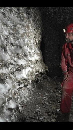 jaring laba laba terbesar di dunia baru baru ini ditemuin #hewan #cerita #labalaba