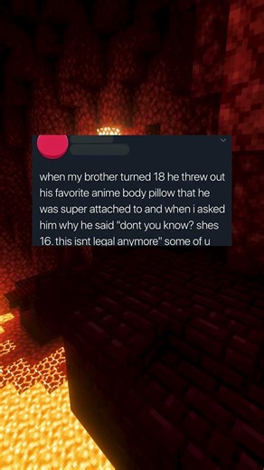 Body Pillow Etiquette 😌