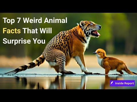 Top7 Weird Animal Facts That Will Surprise You (Full Documentary)