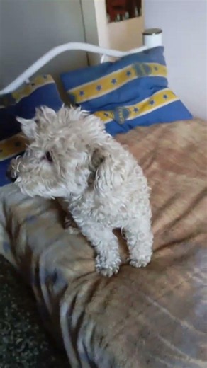 CHARLY