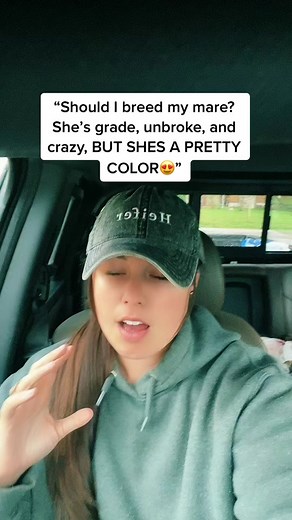 Expert Advice on Breeding Your Mare