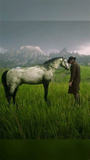 Arthur Testing Micah Bell’s Horse’s New Look 🐎 #rdr2 #horse #equestrianjourney